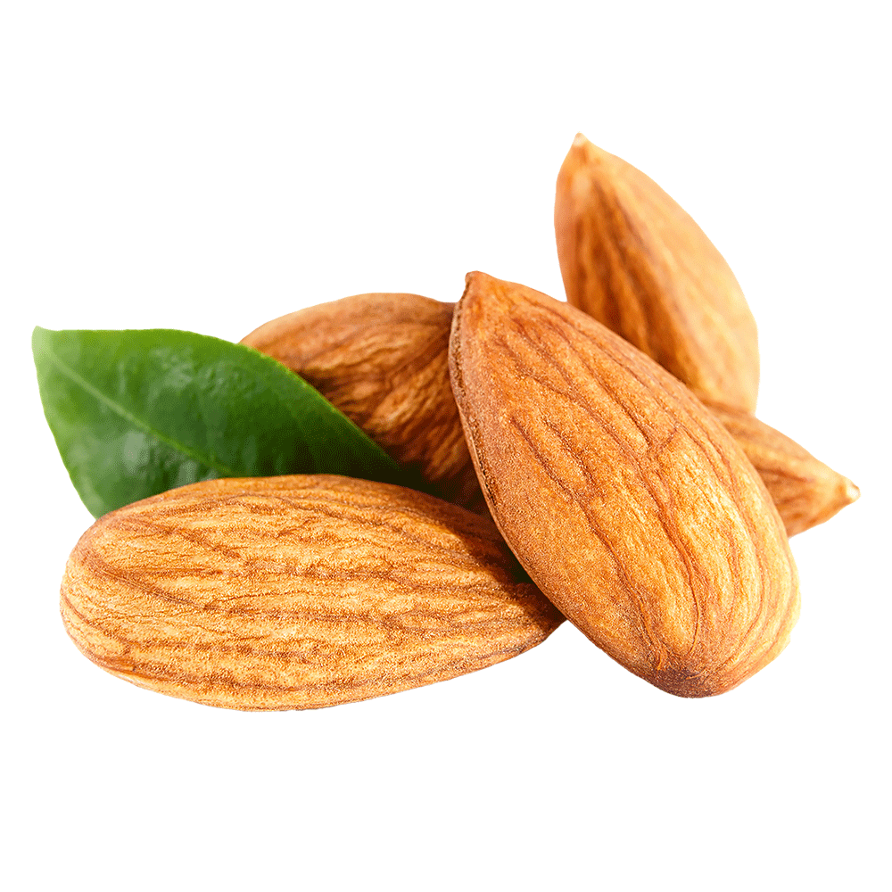 almonds with leaf